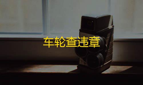 暗区物资挂(免费)车轮查违章